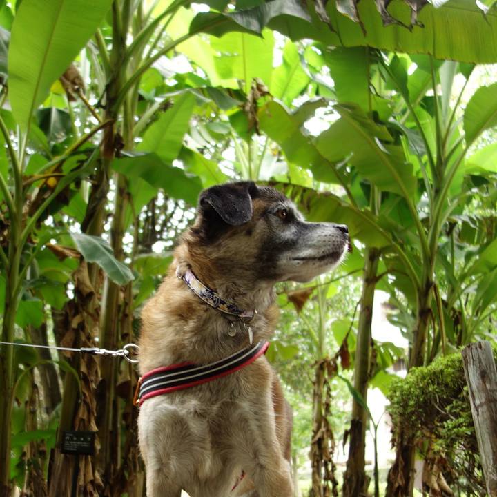 E9b657f0 35cd 46c7 94c1 c1d5d990bf35 1617670095503