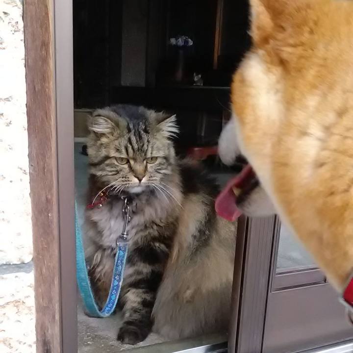 E9b6685c 77dc 439a ac78 d5c8155676d1 1623542281413