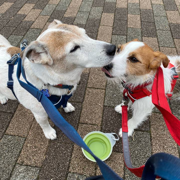 E9b69c05 53c9 4658 b634 90def7b705ff 1645331167343