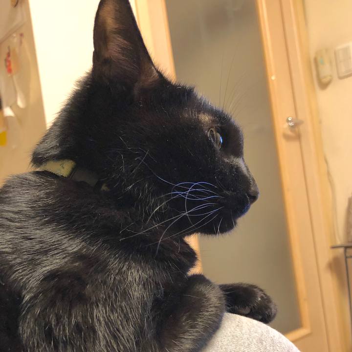 E9b6b0b2 f6bf 4878 be2c d3b26ebbe75a 1540991557087