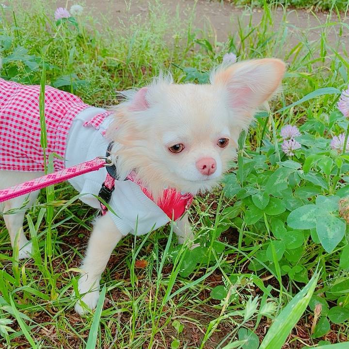 E9b6e011 9cd5 4cab a474 914df53dff2a 1621487741197