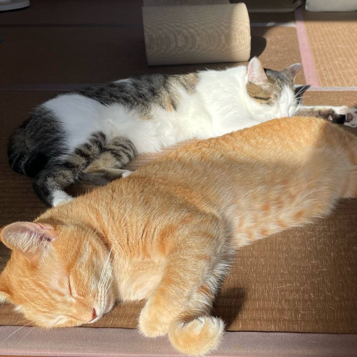 E9b6f124 d936 4741 8911 5b5e628903e1 1769237817162