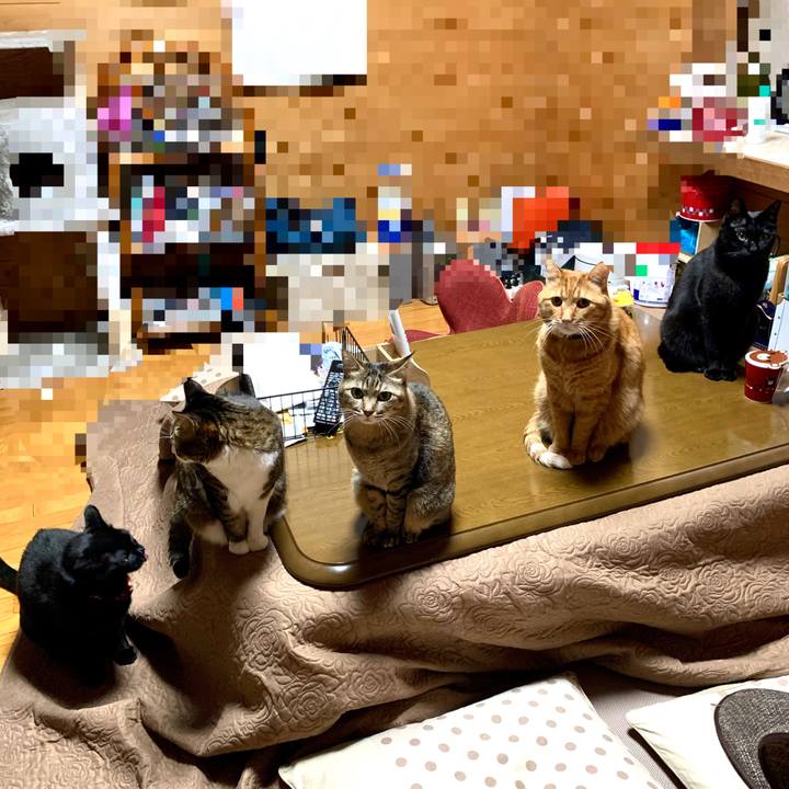 E9b7662a 7456 4fcb afc5 9d0cf1528955 1579522700474