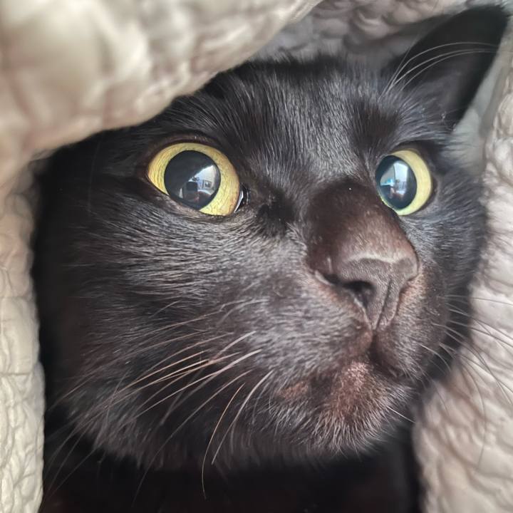 E9b76f7c c567 49cd 8097 646bb14fac6d 1678238255431