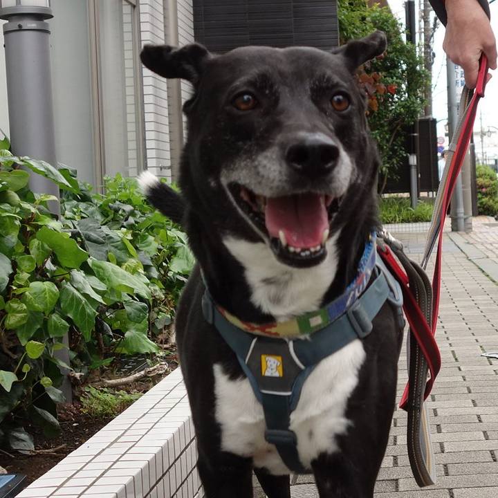 E9b78d6f e91f 4a24 8603 581b4ceb618d 1715650129095