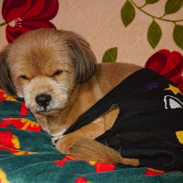 E9b7a76d adb9 4657 a384 a340020728c5 1548367058466