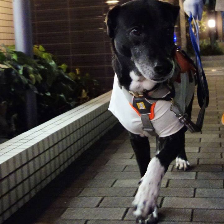 E9b82542 886d 4b03 8786 ba2cbfe46b06 1736505840528