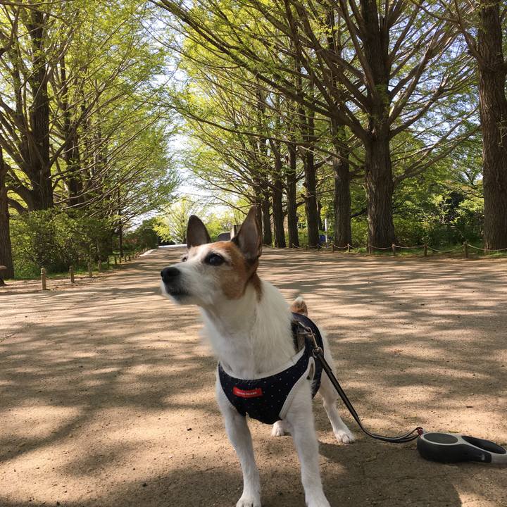 E9b843b3 af9a 41d6 8d10 70dff5b035e4 1618184315028