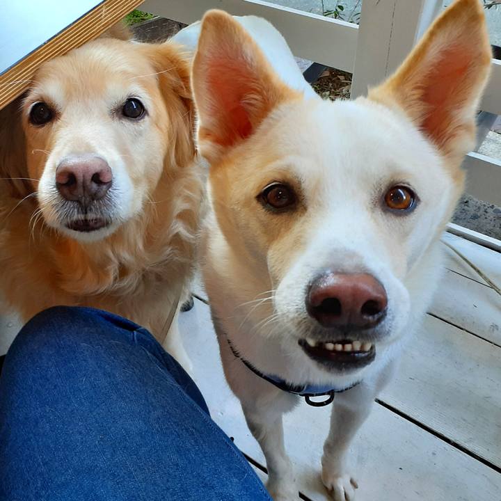 E9b87bae c240 4fe7 8a6e e75ac48fc9a4 1635573786131