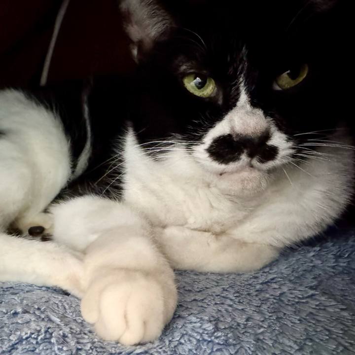 E9b881e2 303c 49b6 b196 98992b89aae6 1738981568826