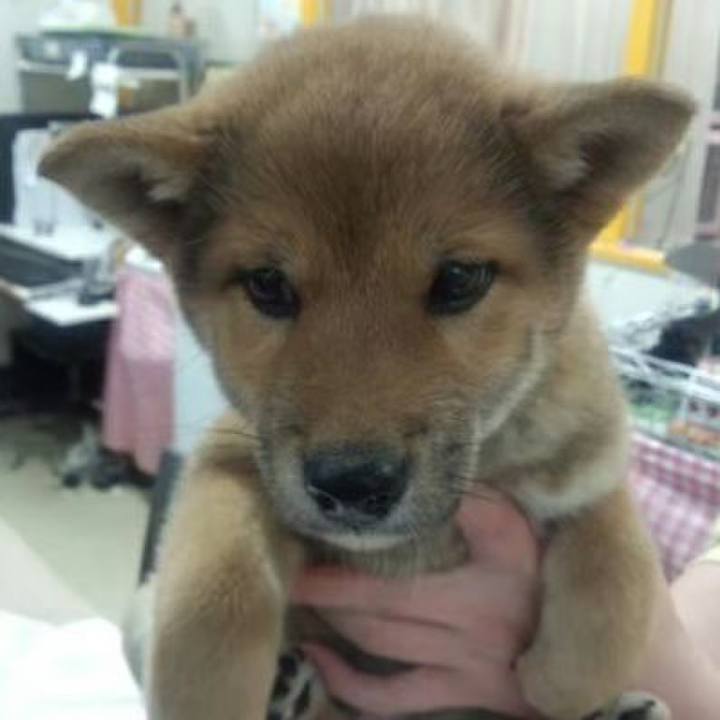 E9b893c3 886e 4f51 8833 0ffd90a3a98b 1619004708146