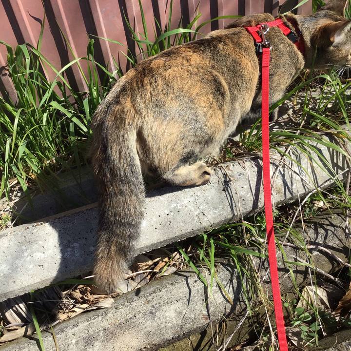 E9b89e7b 2f23 42e9 b382 7c1b514c66db 1583730215621