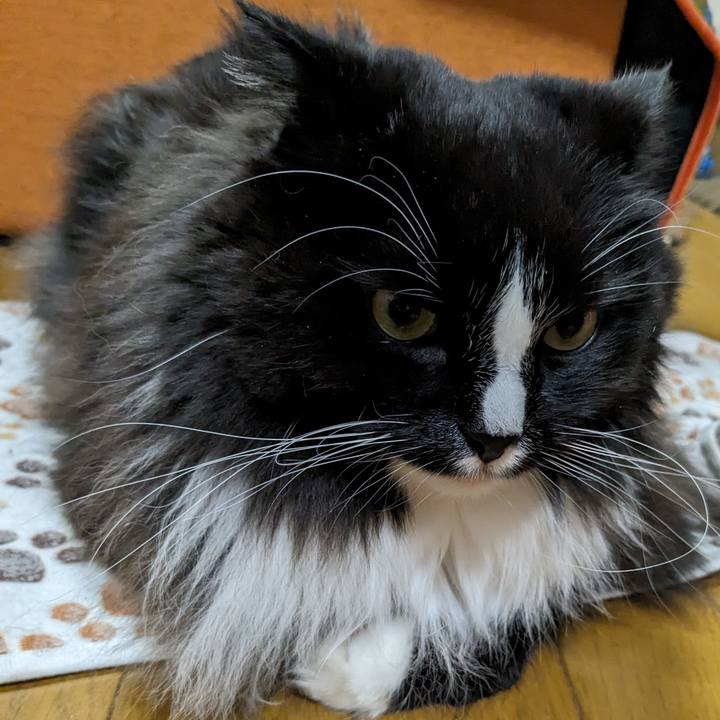 E9b8a499 6a9a 410a 8d6b bc4ecefa8cde 1708086312486