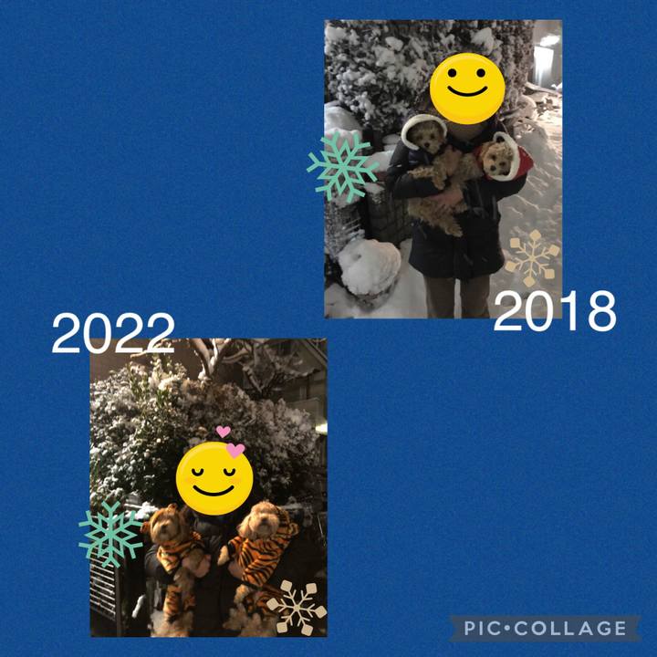 E9b8c039 0d75 43a8 a1e0 dc7b322ffd78 1641486175386