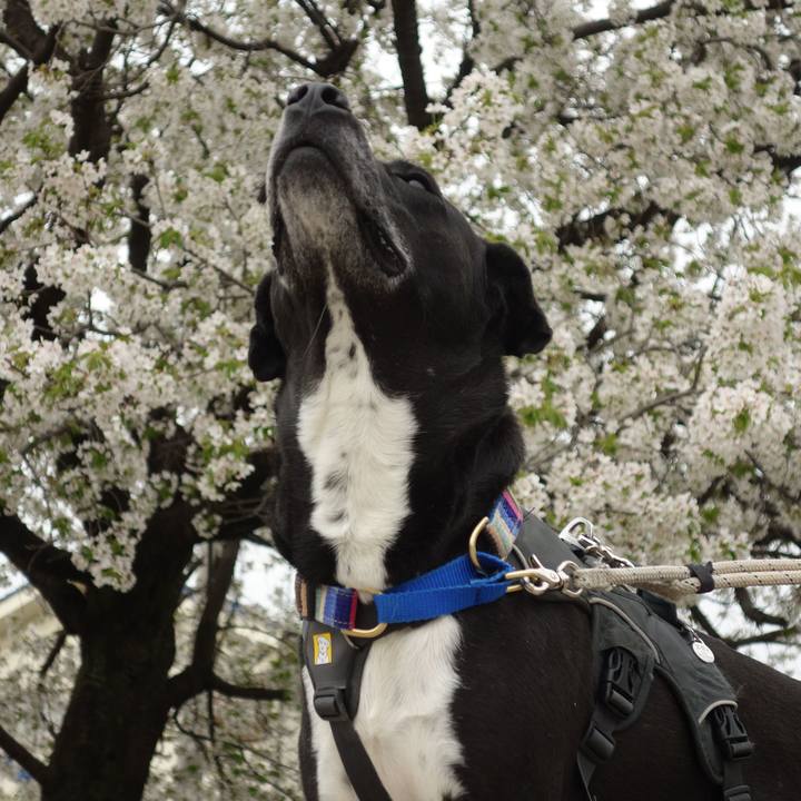 E9b8c0ab 10df 4e16 a1ab d0d0b14b44f1 1744024002723