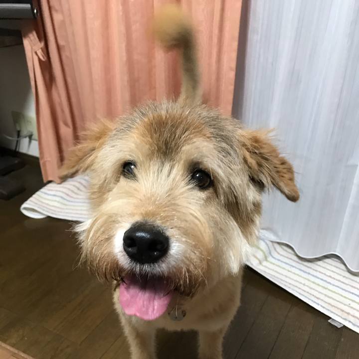 E9b8dd1e 1a90 4bf1 909e f4e8dd38b9ee 1600790048501