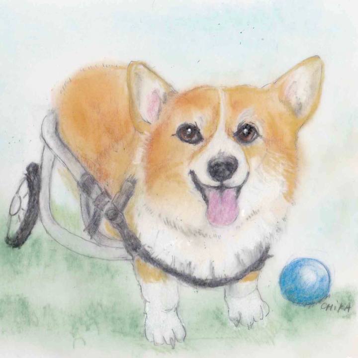 E9b90349 2984 4ad7 b9a5 c9978326c696 1585583097367