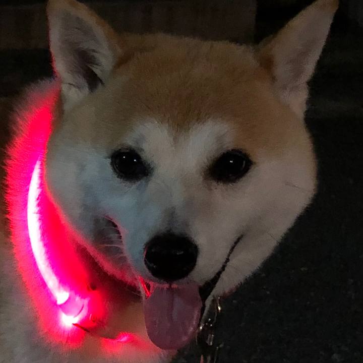 E9b96a28 c5b6 4eff 80a2 c3f012e6d0a4 1567510290920