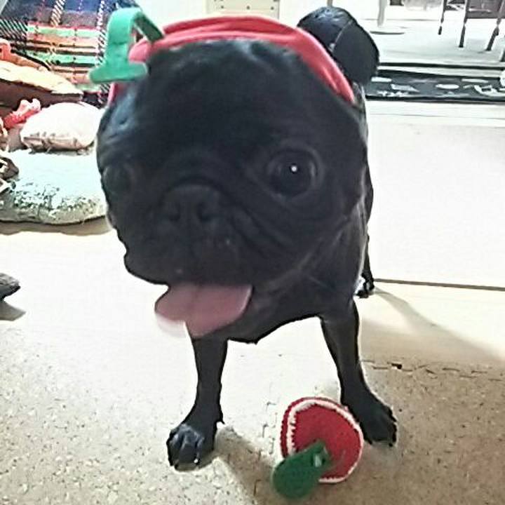 E9b96bd8 98ee 438e a03c d8977860ca5d 1535251570530