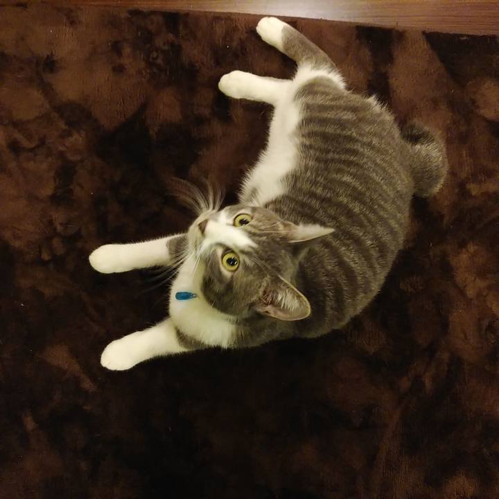 E9b97dd7 07e9 4c0a 9e5d 1144b45119ed 1577016323931