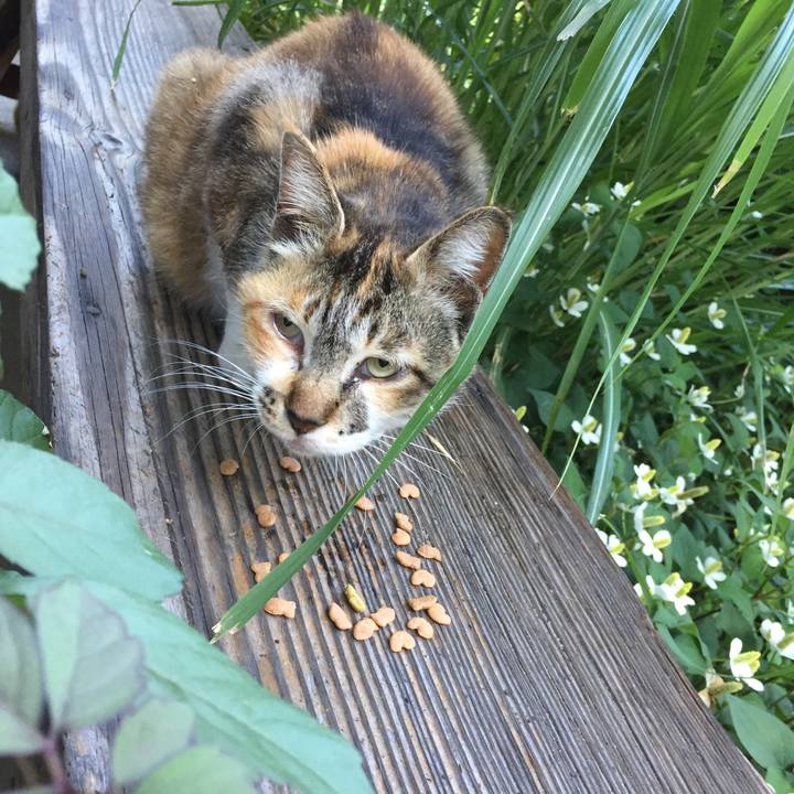 E9b9c35f ca8b 43ee 9b54 65087d55896d 1658619655041