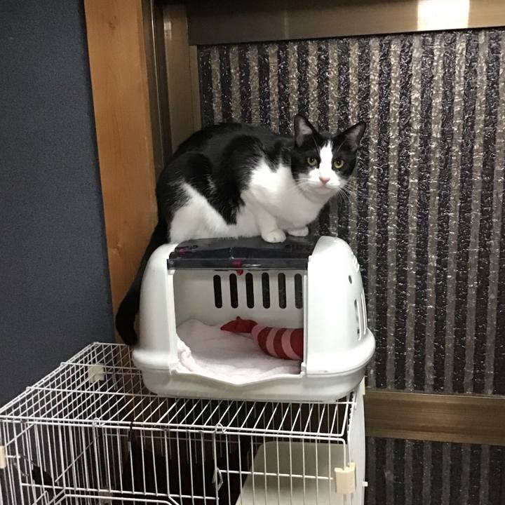 E9b9e668 cbbc 4ba7 8a45 b076c7a3acbb 1733045102987