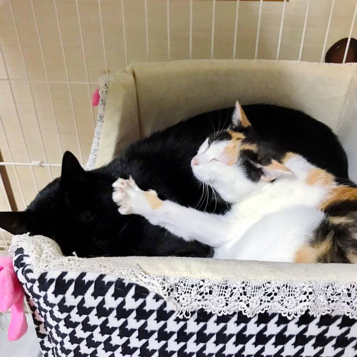 E9ba55e4 f133 4b64 95cf 4793dfb0952d 1508670527729