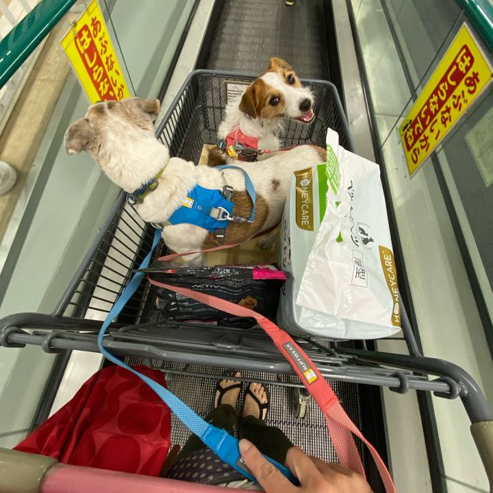 E9ba5f01 2a07 40f9 9725 ce1e16bd2d17 1694935880213