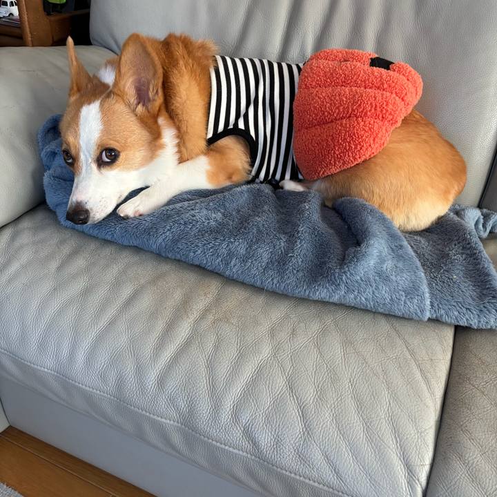 E9bac873 9628 44b4 bfa7 69d2f8dc8335 1761518899278