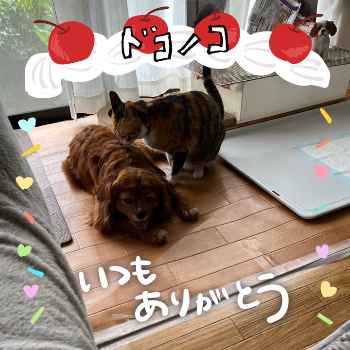 E9bb41d4 b675 4998 b53f 6bf78d3238d5 1685973681396