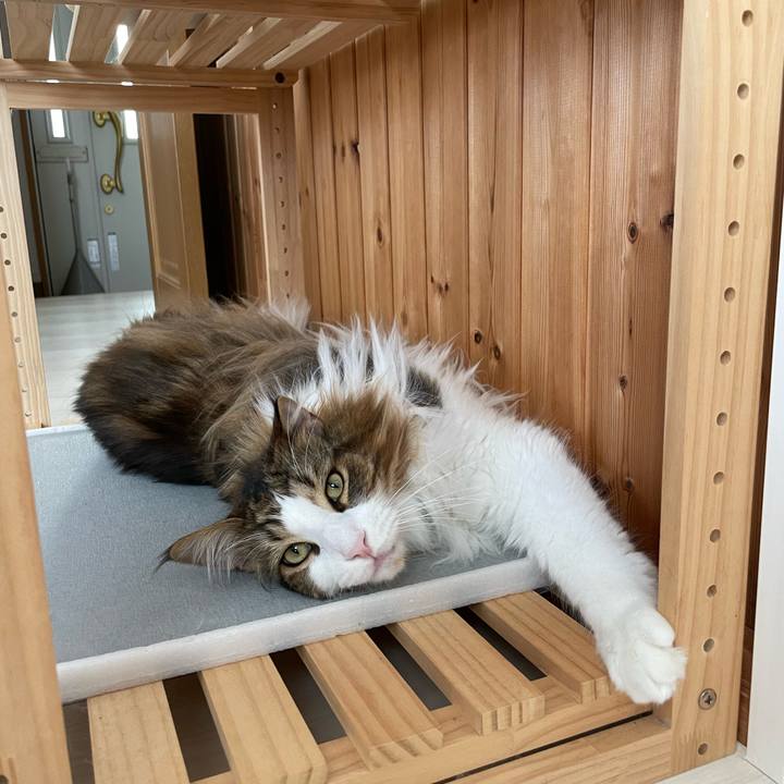 E9bb7e2c 52f0 462f 9ba7 9a3f0c445a2c 1685052944042