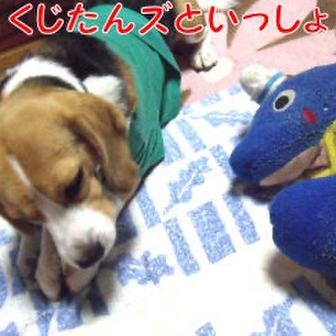 E9bb8253 ae5f 4c8d a4aa e4c9fb8e4099 1717889583470