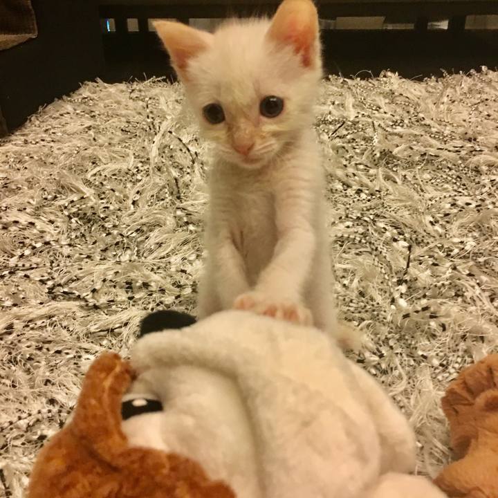 E9bb8b92 2ef0 46fe a98b 4fe1d70a1141 1772177437836