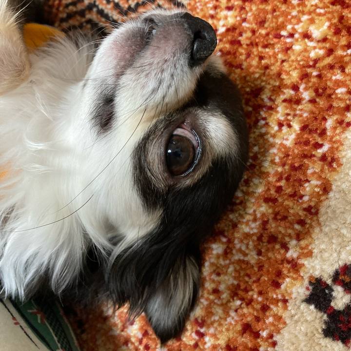 E9bb9a64 a706 497c aec2 e44e29ba84d6 1675004463986