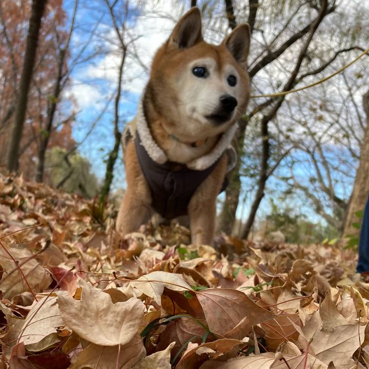 E9bbc421 6310 429f 8dea eff88bb583ca 1764995536270