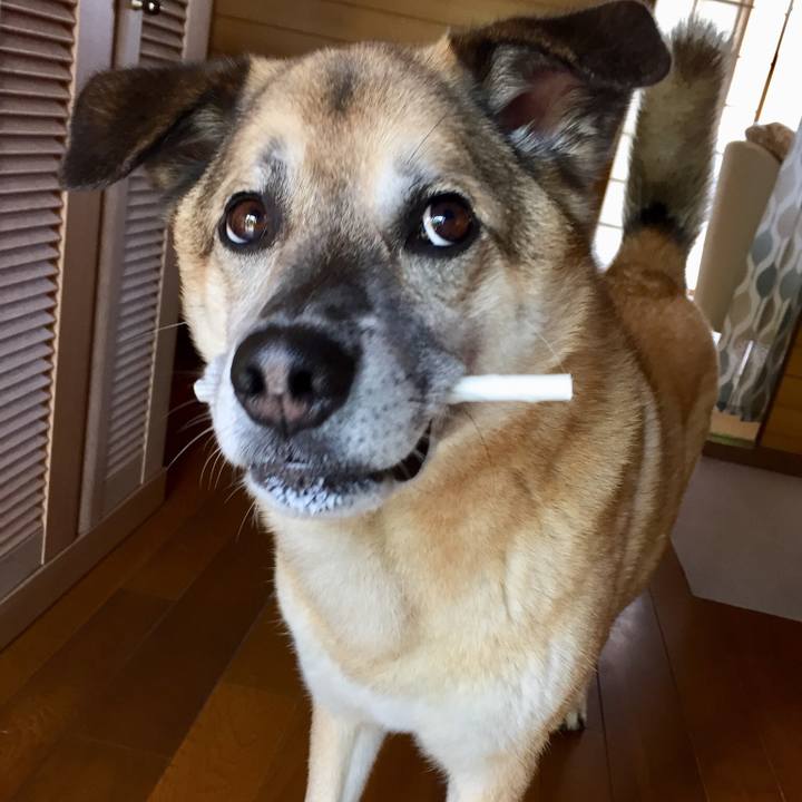 E9bc1ab2 85a7 43e5 90c1 90f407a5451a 1526342714538