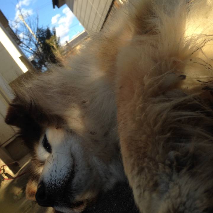 E9bc1d87 5c37 4e59 88ed 677ded107dd4 1548122728348