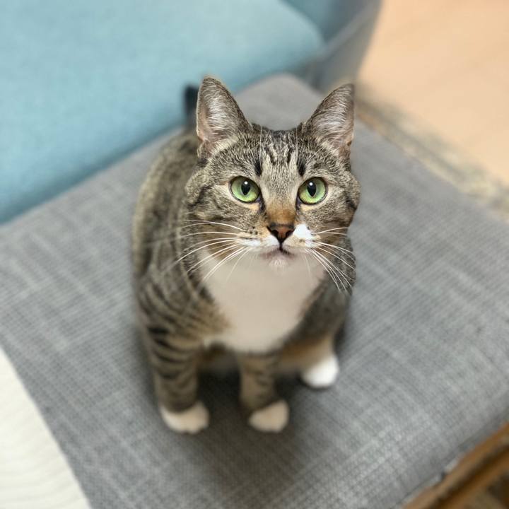 E9bc25a5 27fc 43da a0b4 4a2ba61b4c18 1607517864940