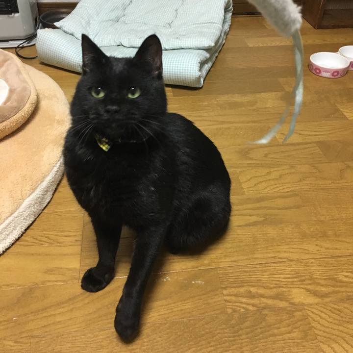 E9bc4020 439a 4ce5 a92d 0dd11f5f9286 1534419910876