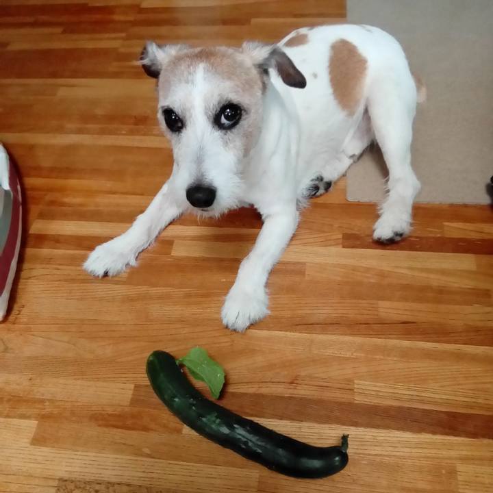 E9bc82f7 b8e6 4b39 bedd 3f98115e3d9c 1593046927713