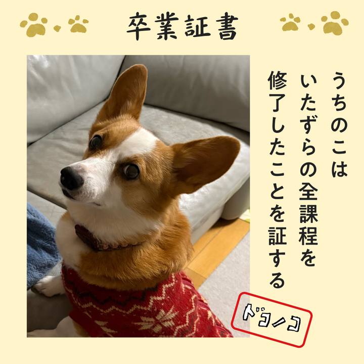 E9bcbb02 570d 463e b434 274bc2076058 1772235295049