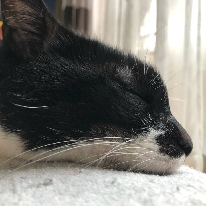 E9bcbbf3 698e 4443 bf99 691879c05696 1651291634133