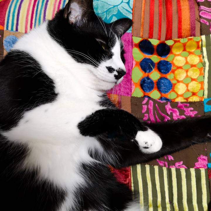 E9bcda60 c81d 4f6f bac5 d3fbae61d572 1548692663045