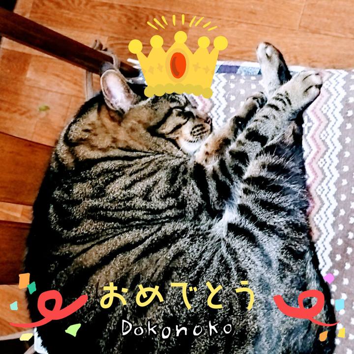 E9bce7ff de3a 44a9 ab14 82f5345070a7 1685962305077