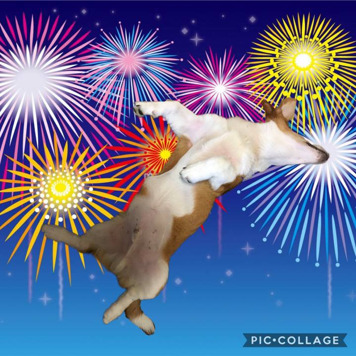 E9bd0f26 e67c 48fc 864b ef8c6e04f0f5 1596895897225