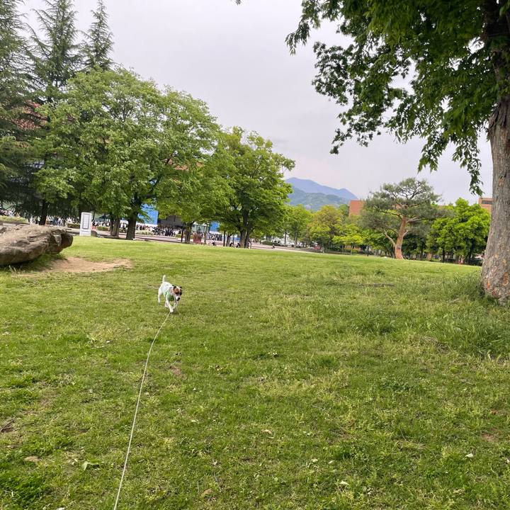 E9bd37c4 605b 4243 8101 cff3ac678acd 1746785684014