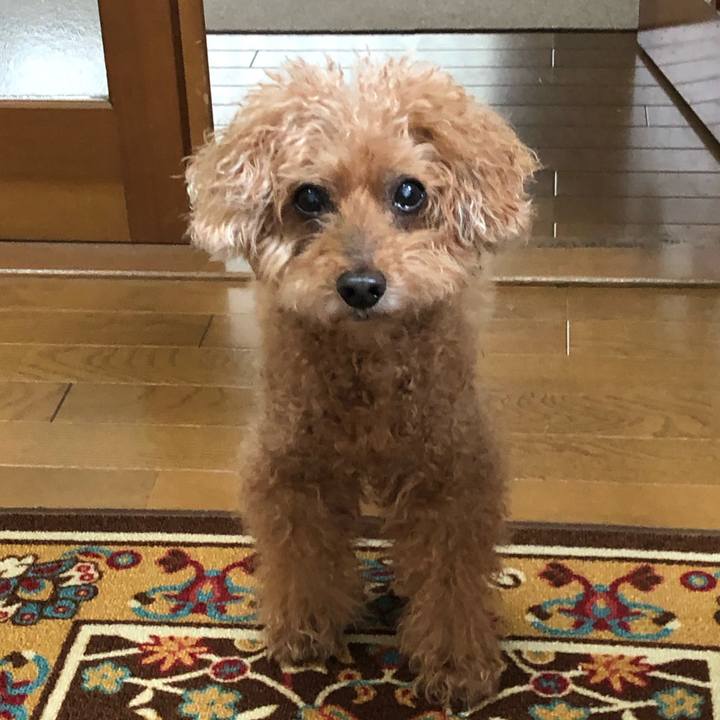 E9bd3ee3 4be4 4f17 b91d 2c0015e1189a 1625812574053