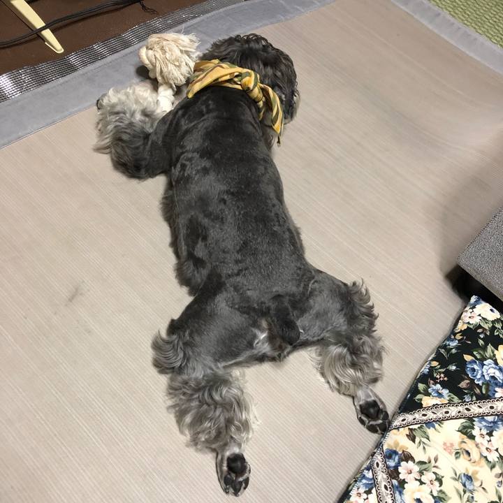 E9bd4ec8 0a41 4b3d a770 a997fe452c26 1628172547992