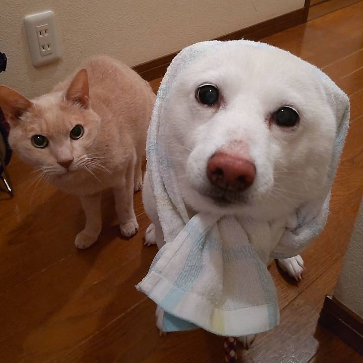 E9bd7262 1ed0 453b 8baf 4d9995e2b6b0 1647681398979