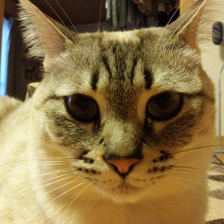 E9bd8219 5077 489f b188 27b3583b75b5 1514881833547